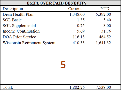 Screenshot of Earnings Statement Employer-Paid Benefits section